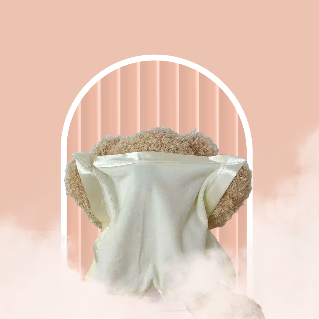 Soft Plush Talking Peekaboo Bear