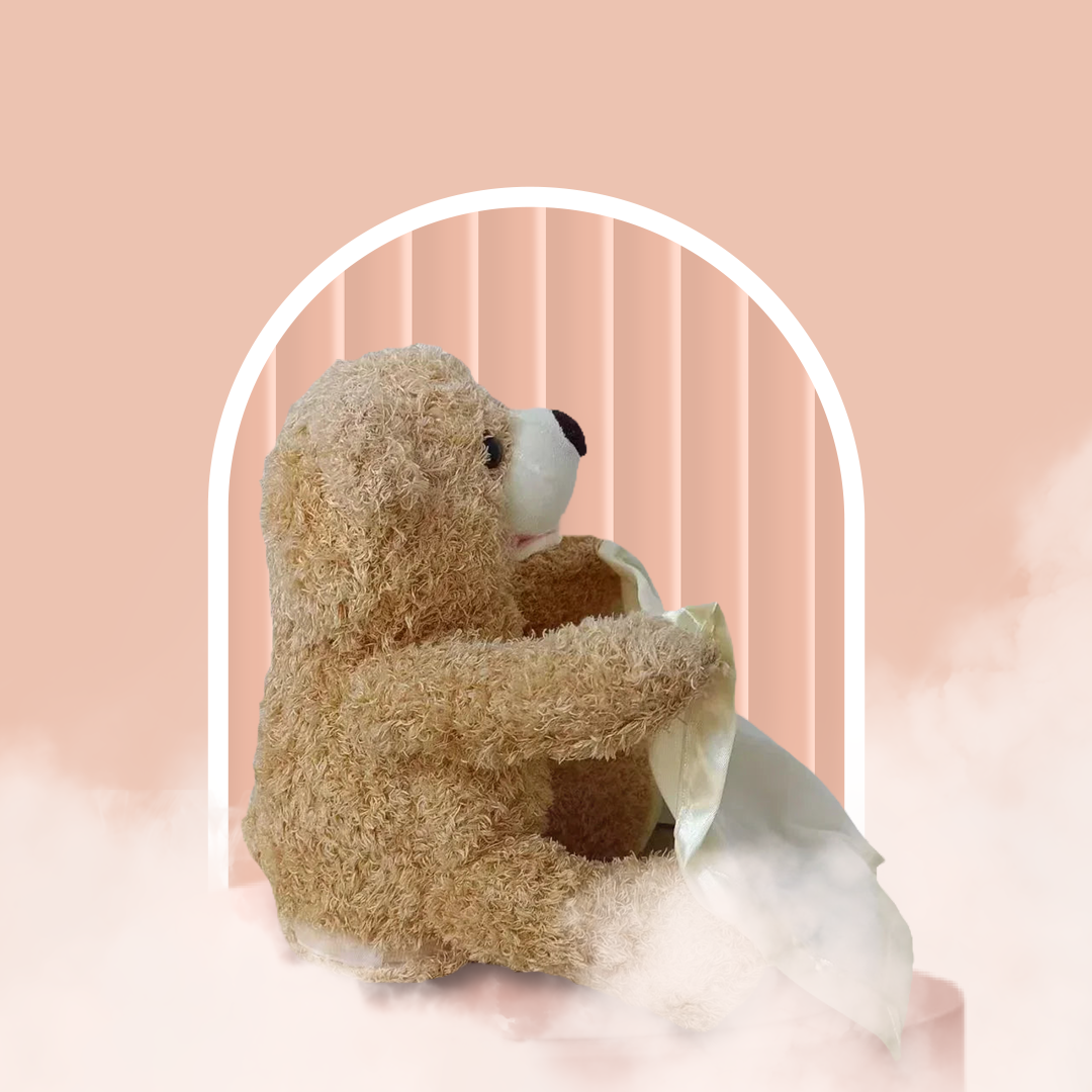 Soft Plush Talking Peekaboo Bear