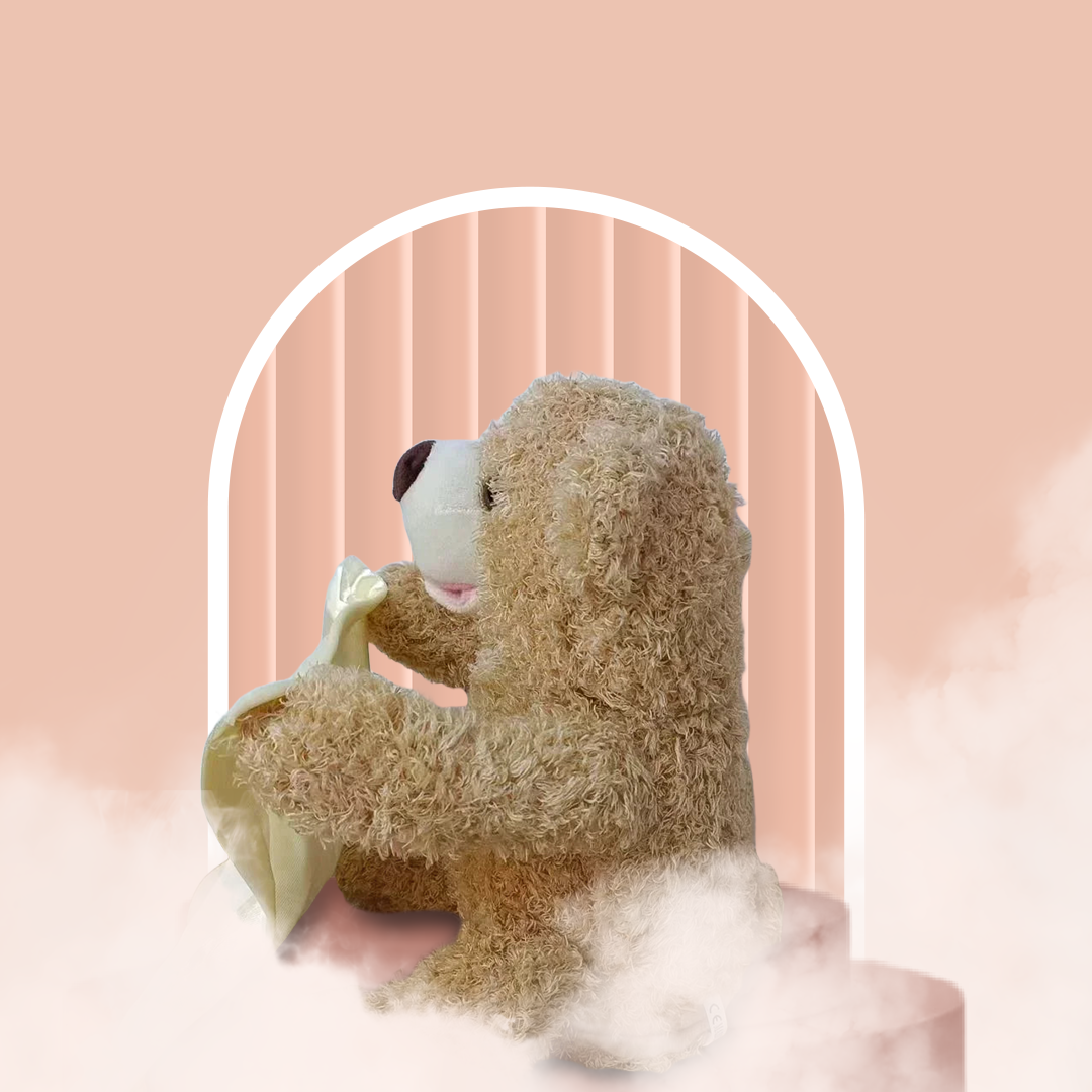 Soft Plush Talking Peekaboo Bear